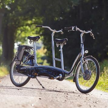 Van Raam Tandem Twinny