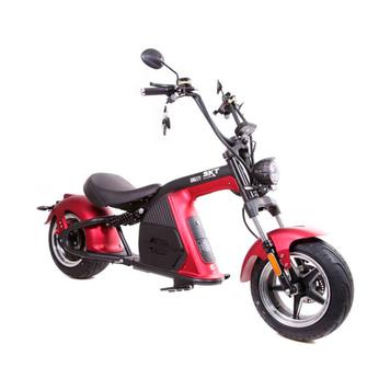 E-Scooter SXT Grizzy